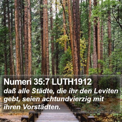 Numeri 35:7 LUTH1912 Bible Verse Image
