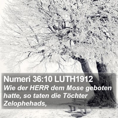 Numeri 36:10 LUTH1912 Bible Verse Image