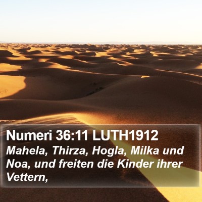 Numeri 36:11 LUTH1912 Bible Verse Image