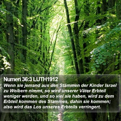 Numeri 36:3 LUTH1912 Bible Verse Image