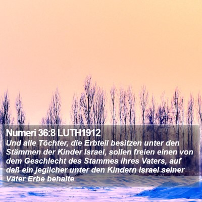 Numeri 36:8 LUTH1912 Bible Verse Image