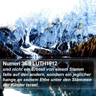 Numeri 36:9 LUTH1912 Bible Verse Image