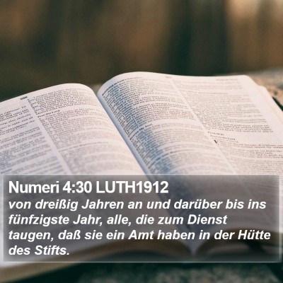 Numeri 4:30 LUTH1912 Bible Verse Image