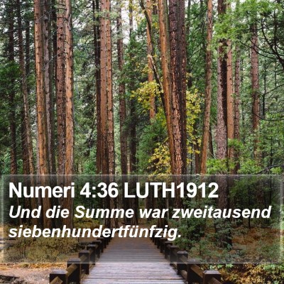 Numeri 4:36 LUTH1912 Bible Verse Image