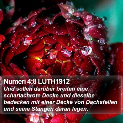 Numeri 4:8 LUTH1912 Bible Verse Image