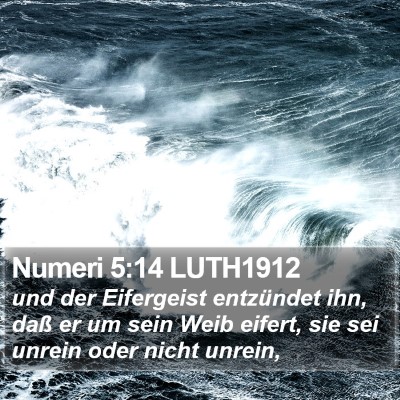Numeri 5:14 LUTH1912 Bible Verse Image