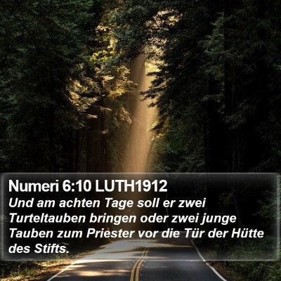 Numeri 6:10 LUTH1912 Bible Verse Image