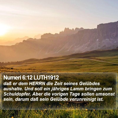 Numeri 6:12 LUTH1912 Bible Verse Image