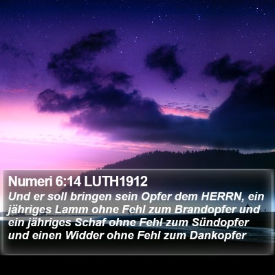 Numeri 6:14 LUTH1912 Bible Verse Image