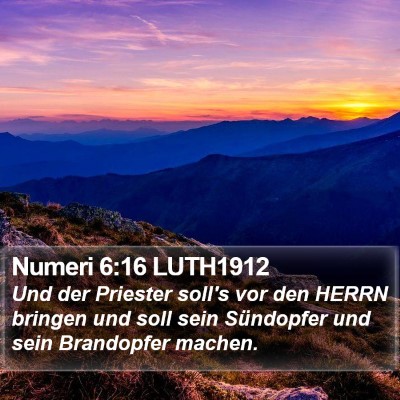 Numeri 6:16 LUTH1912 Bible Verse Image