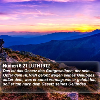 Numeri 6:21 LUTH1912 Bible Verse Image