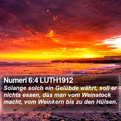 Numeri 6:4 LUTH1912 Bible Verse Image