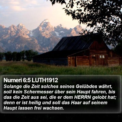 Numeri 6:5 LUTH1912 Bible Verse Image
