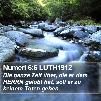 Numeri 6:6 LUTH1912 Bible Verse Image