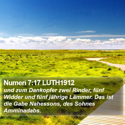 Numeri 7:17 LUTH1912 Bible Verse Image