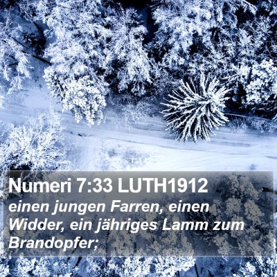 Numeri 7:33 LUTH1912 Bible Verse Image