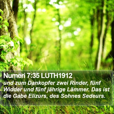 Numeri 7:35 LUTH1912 Bible Verse Image