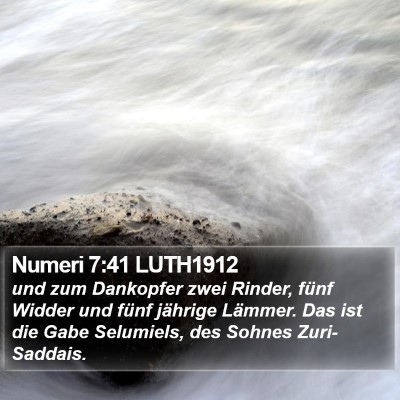 Numeri 7:41 LUTH1912 Bible Verse Image