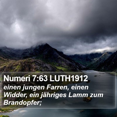 Numeri 7:63 LUTH1912 Bible Verse Image