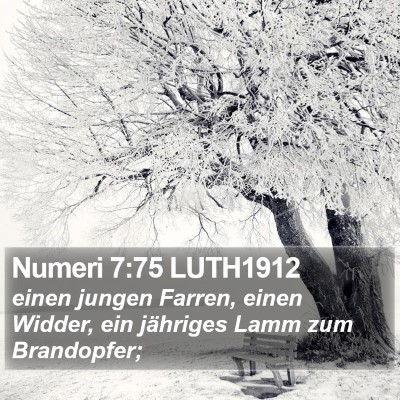 Numeri 7:75 LUTH1912 Bible Verse Image