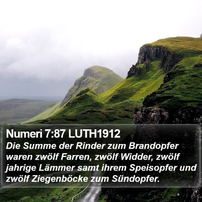 Numeri 7:87 LUTH1912 Bible Verse Image