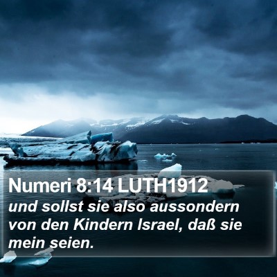 Numeri 8:14 LUTH1912 Bible Verse Image