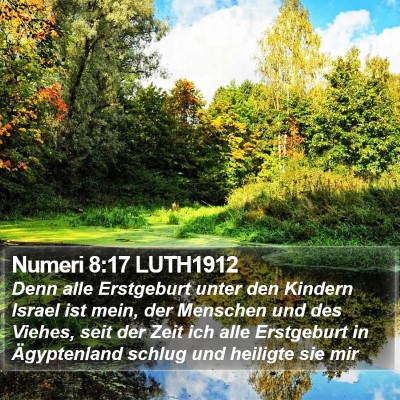 Numeri 8:17 LUTH1912 Bible Verse Image