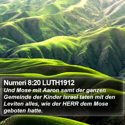 Numeri 8:20 LUTH1912 Bible Verse Image
