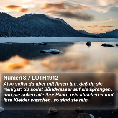 Numeri 8:7 LUTH1912 Bible Verse Image