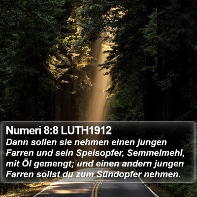 Numeri 8:8 LUTH1912 Bible Verse Image