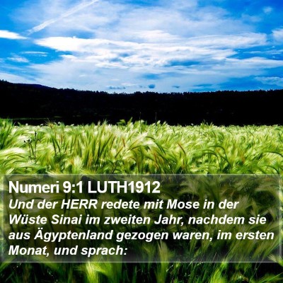Numeri 9:1 LUTH1912 Bible Verse Image