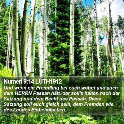 Numeri 9:14 LUTH1912 Bible Verse Image