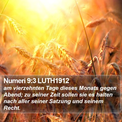 Numeri 9:3 LUTH1912 Bible Verse Image