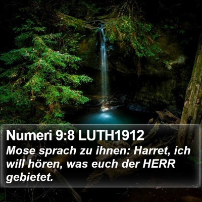 Numeri 9:8 LUTH1912 Bible Verse Image