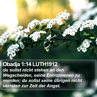 Obadja 1:14 LUTH1912 Bible Verse Image