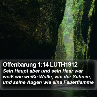Offenbarung 1:14 LUTH1912 Bible Verse Image