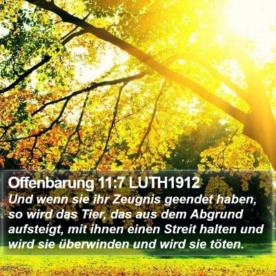 Offenbarung 11:7 LUTH1912 Bible Verse Image