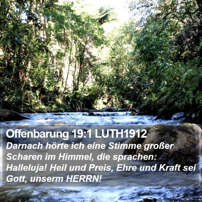 Offenbarung 19:1 LUTH1912 Bible Verse Image