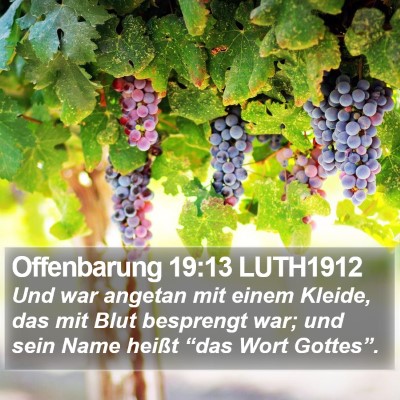 Offenbarung 19:13 LUTH1912 Bible Verse Image