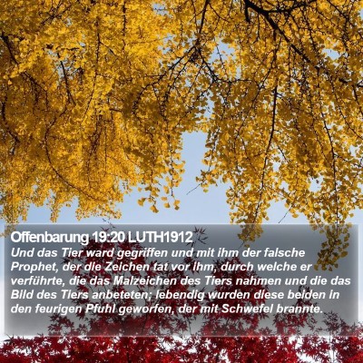 Offenbarung 19:20 LUTH1912 Bible Verse Image