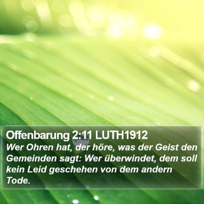 Offenbarung 2:11 LUTH1912 Bible Verse Image