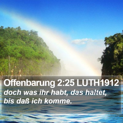 Offenbarung 2:25 LUTH1912 Bible Verse Image