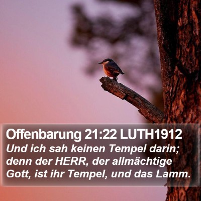 Offenbarung 21:22 LUTH1912 Bible Verse Image