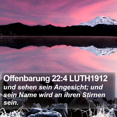 Offenbarung 22:4 LUTH1912 Bible Verse Image