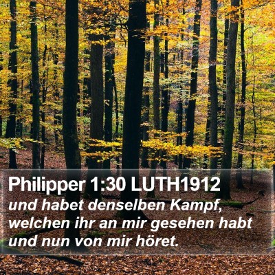 Philipper 1:30 LUTH1912 Bible Verse Image