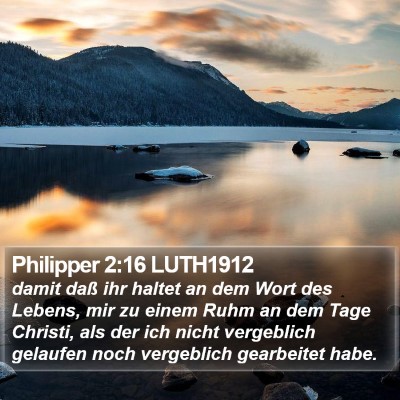 Philipper 2:16 LUTH1912 Bible Verse Image
