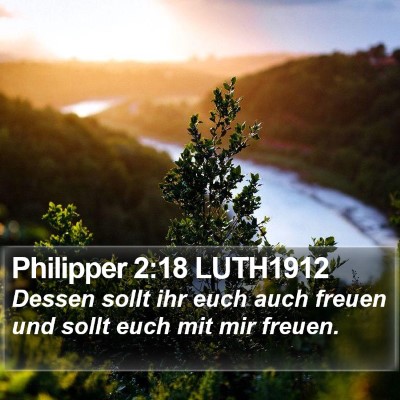 Philipper 2:18 LUTH1912 Bible Verse Image