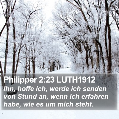 Philipper 2:23 LUTH1912 Bible Verse Image