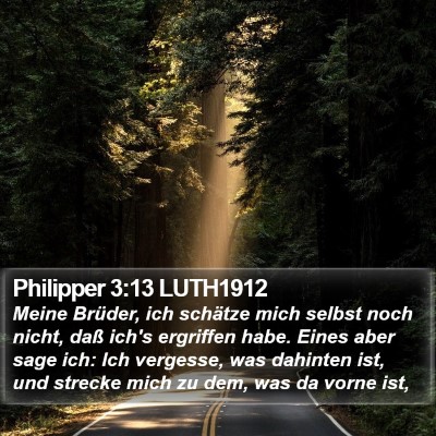 Philipper 3:13 LUTH1912 Bible Verse Image