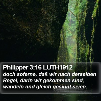 Philipper 3:16 LUTH1912 Bible Verse Image